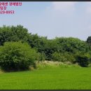 봉양보건진료소 이미지