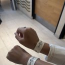 둔둔농장 | 멕시코 1년 살이 중(4)🇲🇽: 호세 쿠엘보 데낄라 투어 후기! Jose cuervo Tequila express