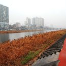 거창군청 이미지