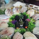 애월해송횟집 | 제주 애월 애월해송횟집 싱싱한 모둠회부터 산낙지까지 친구랑 제대로 먹고 온 후기