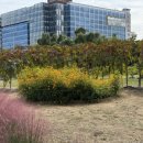 조정경기장 화장실 이미지