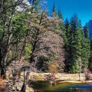 대지여인숙 이미지