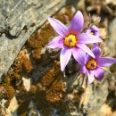 (주)백룡 이미지