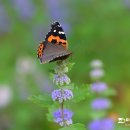 한라환경 이미지