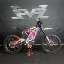 DS custom(디에스커스텀) | [써론 라이트비 X 커스텀데칼 후기] SUR-RON Light Bee X Custom decal 전기 오프로드 바이크