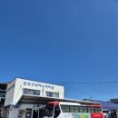 [군산] 퀵턴 당일치기 8월 여름에 혼자 여행 솔직 후기 / 코스 일정 이성당 지린성 초원사진관 신흥동...