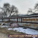 동호주유소 이미지