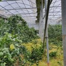 산남농장 이미지