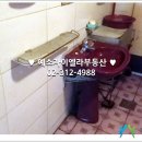 신촌 당구장 이미지