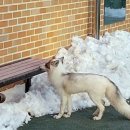 덕진체련공원 테니스장 이미지