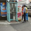 청석당 Daum카페