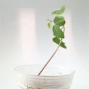 목원유치원 이미지