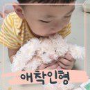 미스타이거 | 워미스애착인형 필수 육아템 냉온 가능 부들부들 후기