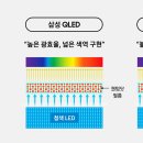 리얼닷 이미지