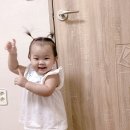 신정4동어린이집 | 신정역 신정4동 어린이집 토리어린이집 찐후기