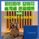 불철주야 | 강아지 슬개골 관리 추천 피터파우 강아지 슬개골 온열매트 방석 후기