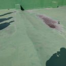 은혜고등학교 이미지