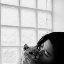 오뗄뒤샤 이미지