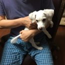 예스플로어 이미지