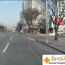 그랜드벳동물병원 이미지
