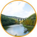 (주)웰빙 | 부산 기장 여행 가볼만한곳 단풍 명소 메타세콰이어길 용소웰빙공원