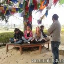 걷다보니 이미지