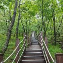 표충사탐방로(=작전도로) 이미지