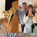 새미다방 이미지