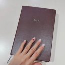 워너디스 | 감정일기와 육아일기를 모두 담는 5년 일기장! 워너디스 5년 다이어리 잔물결 후기