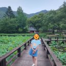 홍천로컬푸드정육점