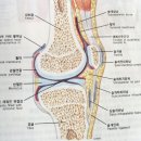 암을 극복 할 수 있는 반가운 소식 이미지