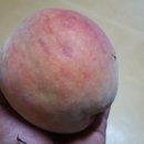 복성농장 이미지