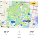 마루에너지 | [TOKYO] 아식스 런 도쿄 마루노치점 황궁런 후기