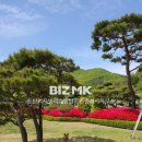 동탄역시범리슈빌탑공인중개사사무소 네이버블로그
