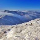 2월 6일(목) 소백산 - 명산100 고객산행 이미지