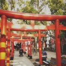 신사-228 이미지