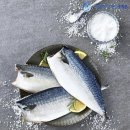 (주)베스트엔드베스트 이미지