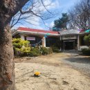 방은농장 | 창원 아이와 가볼만한곳 피자 만들기 체험 가능한 사회적 농장 밀알