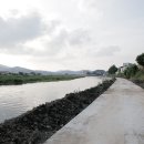 경안천 왕산리 이미지