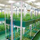 성실농장 이미지