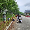 미선농장 2 이미지