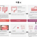 씨케이사이언스 네이버블로그