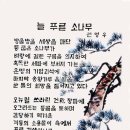 푸른소나무 이미지