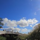 에코공원 이미지