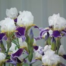 창의공예 이미지