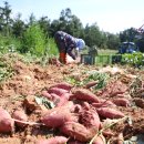 하나로마트 해남농협 이미지