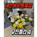 대전 용문동 꽃집 유진플라워 돌선물 예쁜 꽃바구니 후기