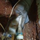 영월연탄 이미지