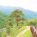 남원지리산 이미지
