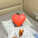 가자연세병원 1인실 입원 및 연골판 수술할 뻔 했다가 수술 안한 후기..